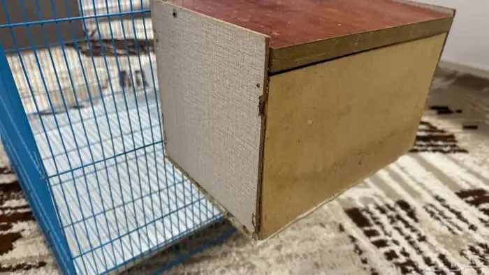 للبيع قفص كبيير مع بياضه 7