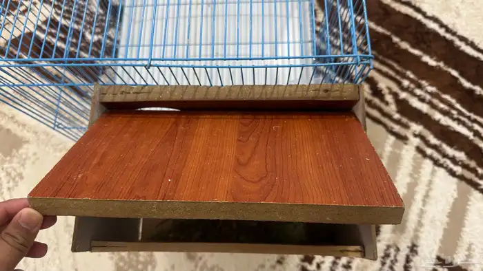 للبيع قفص كبيير مع بياضه 9