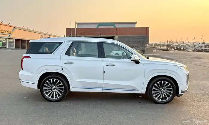 بالسيد 2023 (بنزين-دبل)كاليجرافي اعلا مواصفات وكاله للبيع 6