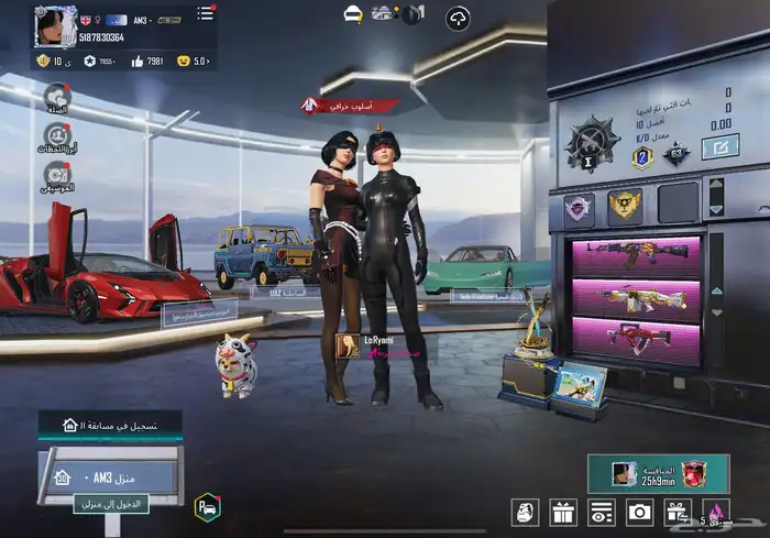 حساب ببجي للبيع 3