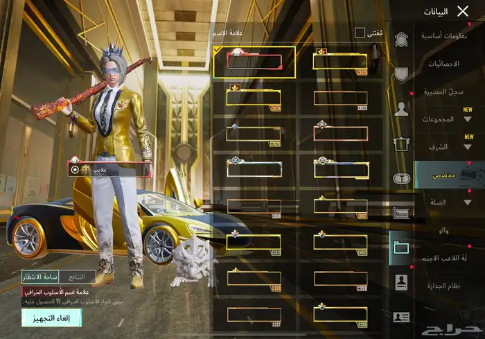 حساب ببجي 400مثيك 16