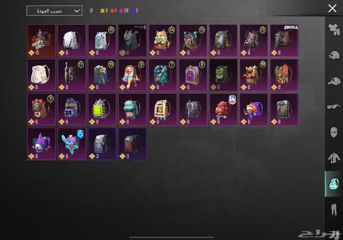 حساب ببجي للبيع 13