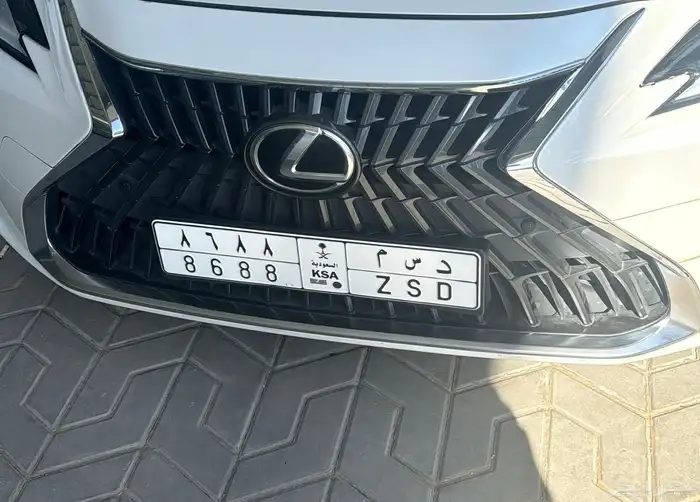 لوحة دسم 8688 1