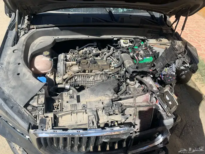 جيلي للبيع 4