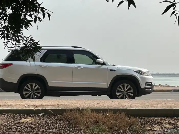 جيب شانجان 2019 للبيع 10