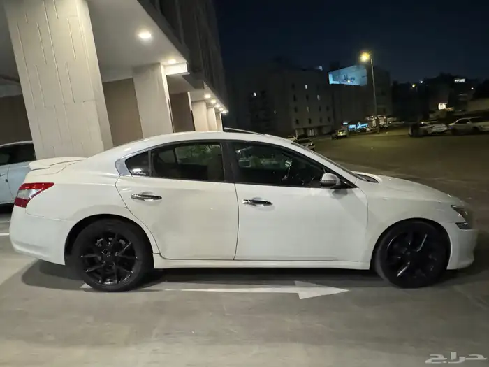 مكسيما 2010 13