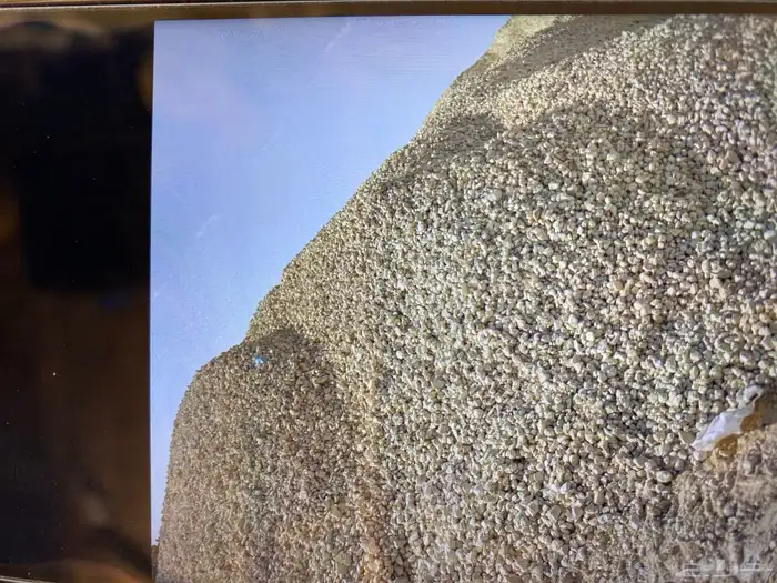 دف ان صبيز كساره 8