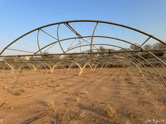 محميات للايجار 0