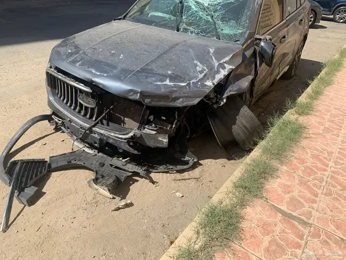 جيلي للبيع 3