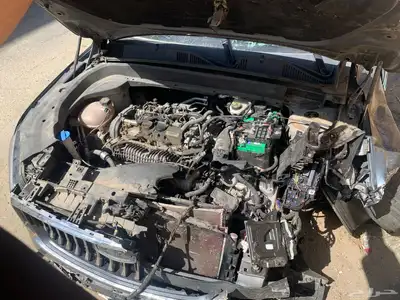 جيلي للبيع index