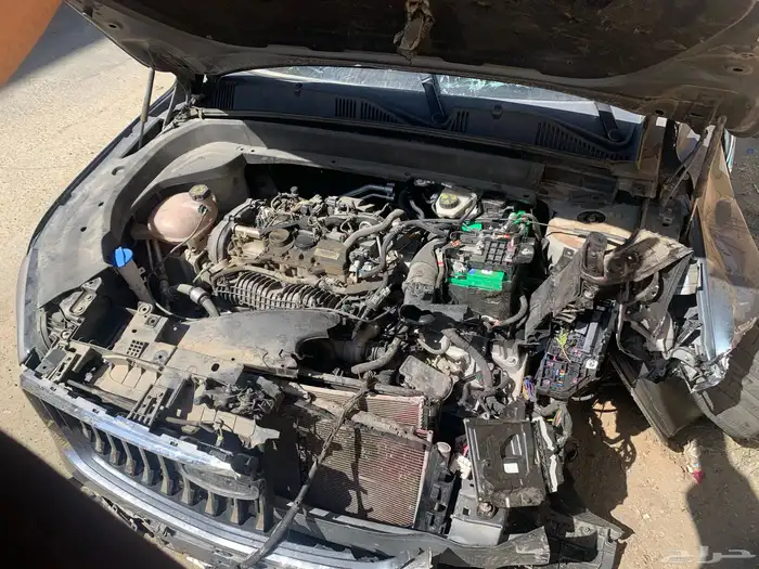 جيلي للبيع 1