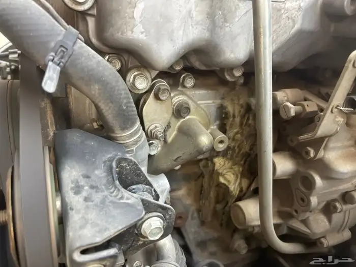 دنه اسيزو جامبو 10