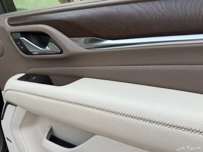 يوكن دينالي 2021 41