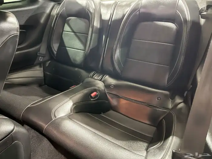 موستنج 2021 12