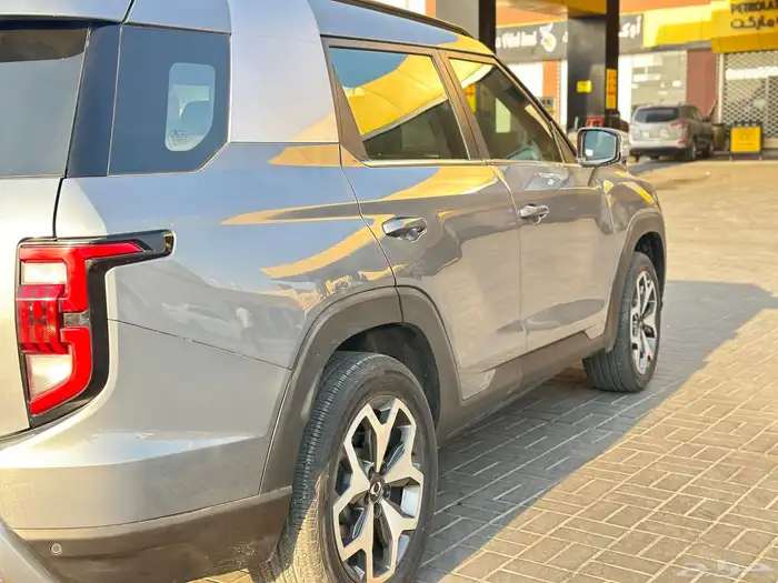 سانج يونج توريس2024 8