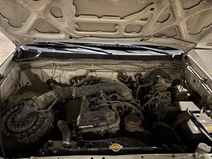 فور شنر 2013 8