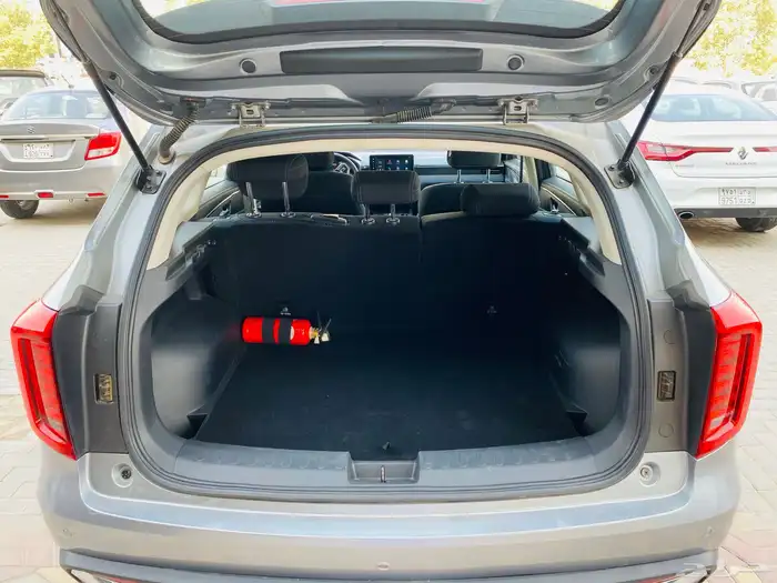 متوفر مجموعة هافال جوليان 2024  فضي اسود 14