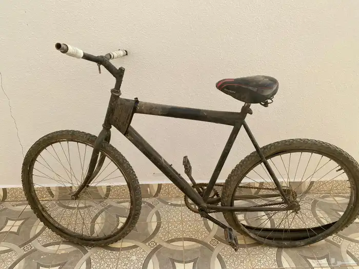 سيكل باكستاني 2