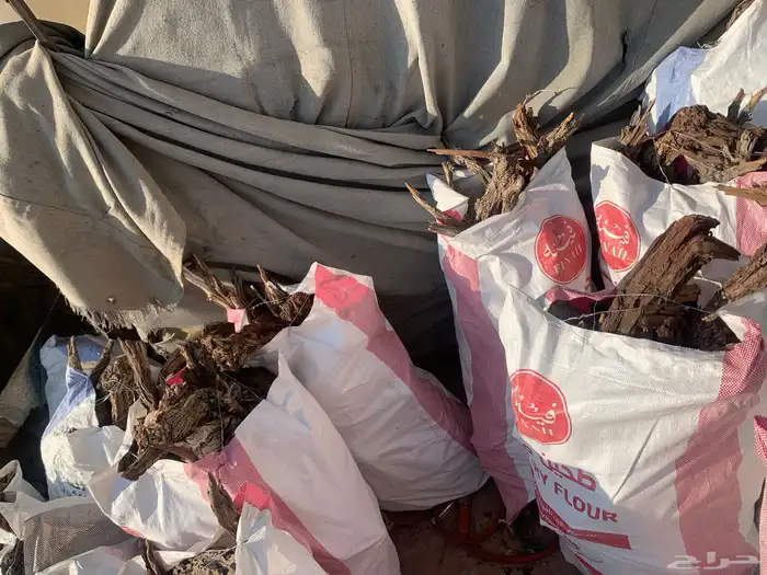 دفايه الشتاء 0