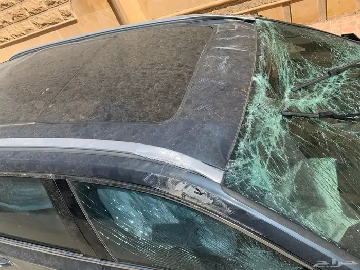 جيلي للبيع 5