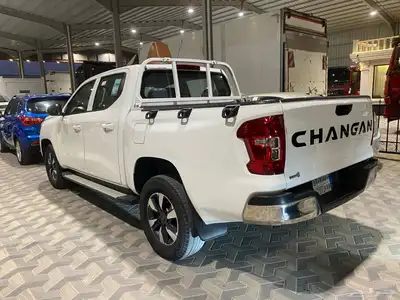 شانجان 2022. فل index