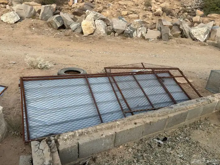 شبوك دجاج حمام ارانب 5