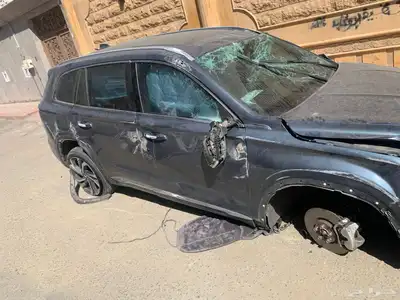 جيلي للبيع index