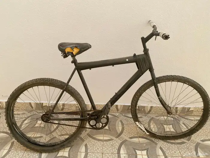 سيكل باكستاني 1