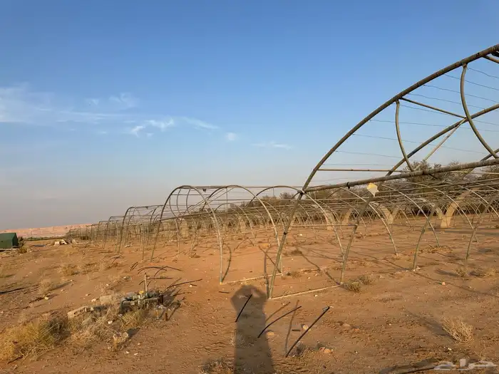 محميات للايجار 2