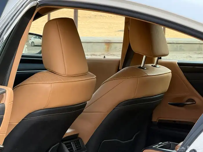 لكزس ES300h 2022 ممشى (41) الف 10