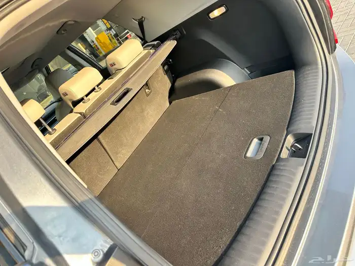 سانج يونج توريس2024 13