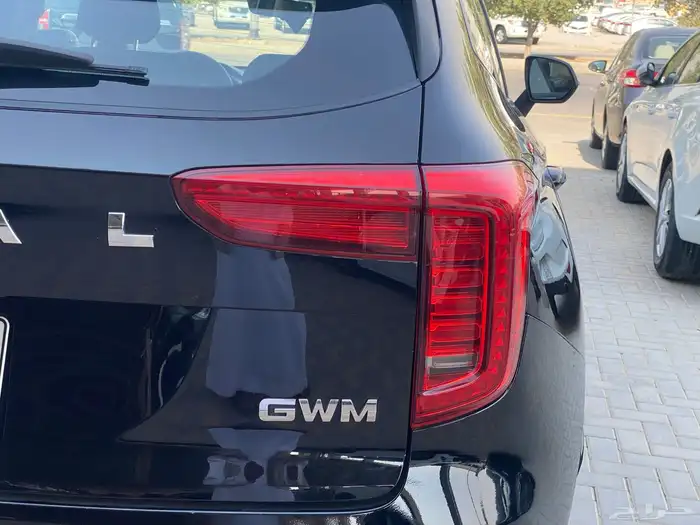 متوفر مجموعة هافال جوليان 2024  فضي اسود 11