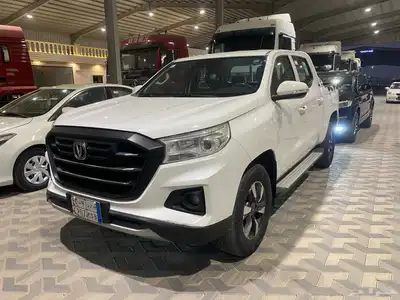 شانجان 2022. فل index