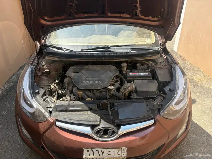 النترا 2013 23