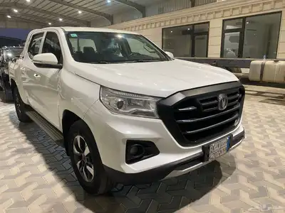 شانجان 2022. فل index