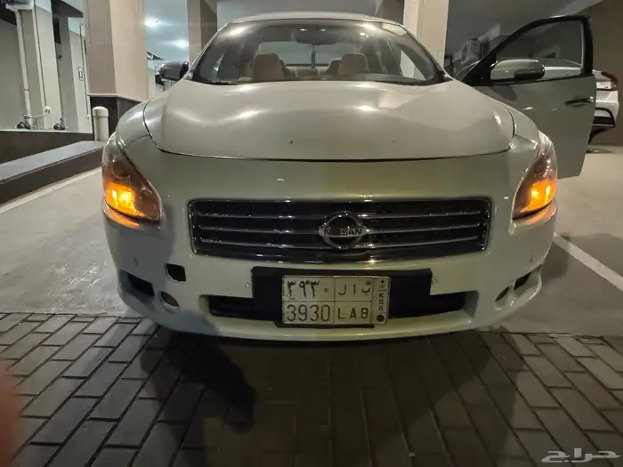 مكسيما 2010 14