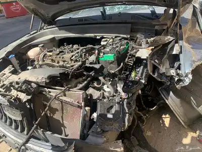 جيلي للبيع index