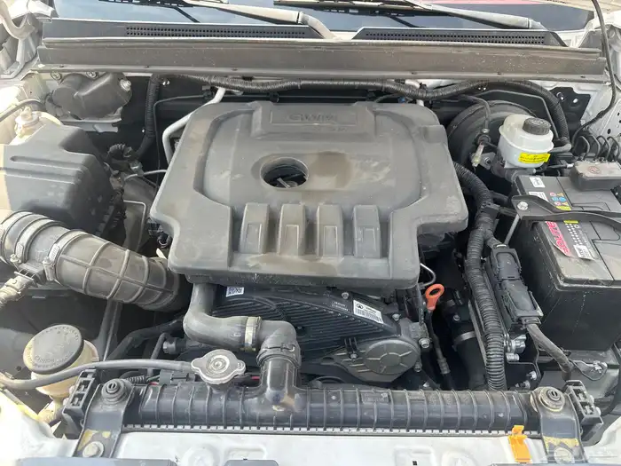 للبيع ونجل 7 موديل 2022 م 6