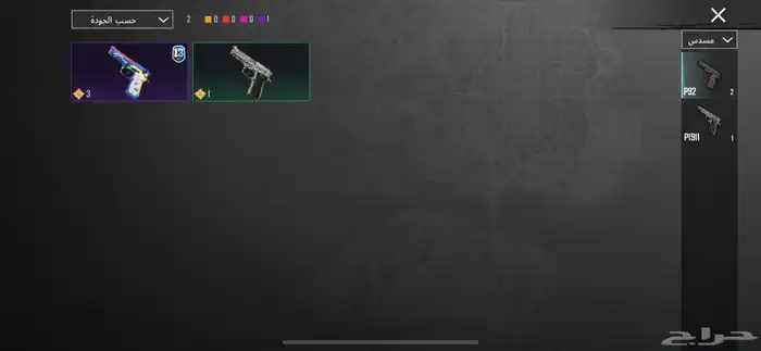 حساب ببجي 29