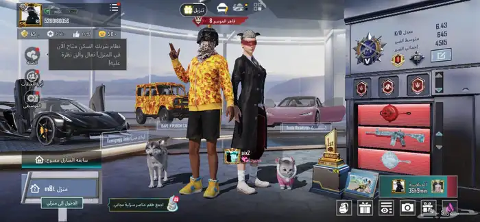 حساب ببجي نادر للبدل او البيع يد بيد 4