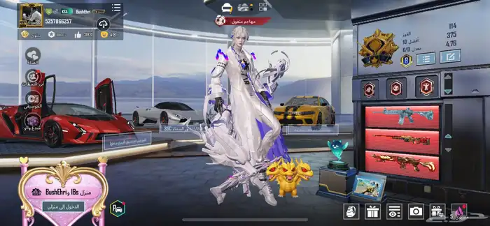 ببجي للبيع 2