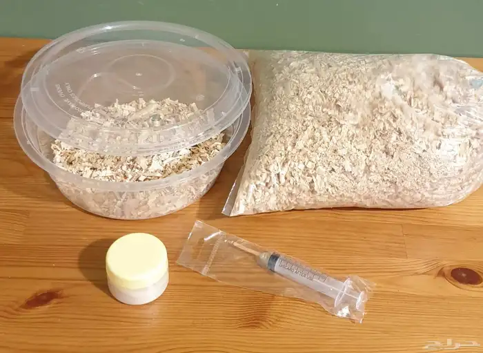 فرخ كروان محجل للبيع مع مرفقاته 3