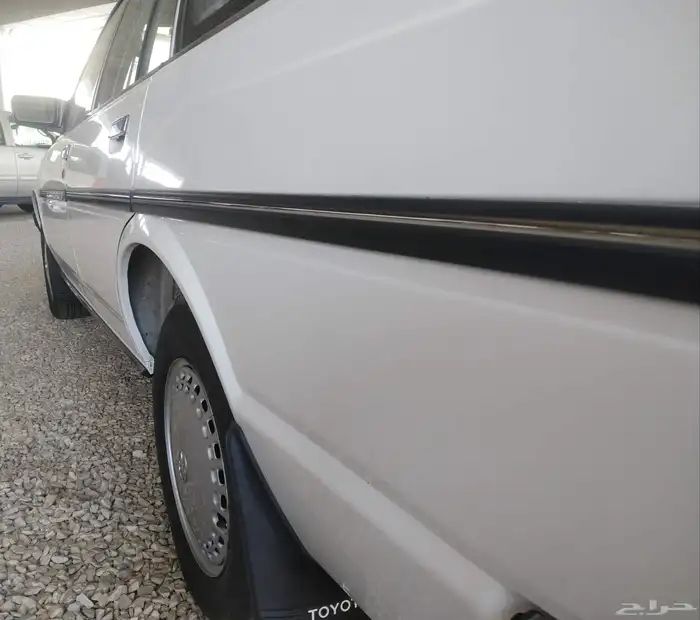 اذكروا الله وصلوا على النبي للبيع كرسيدا 88 بقس شبه وكاله 30