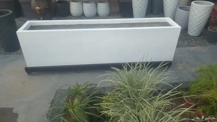 مؤسسة زهرة الخليج الزراعية -نجران -دحضة 1