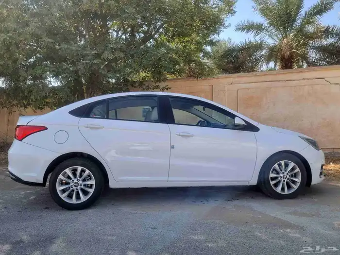 شيري اريزو 5 -2022 8