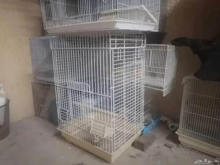 للبيع وعلى السوم اقفاص لجميع أنواع الطيور وبأحجام مختلفة 3