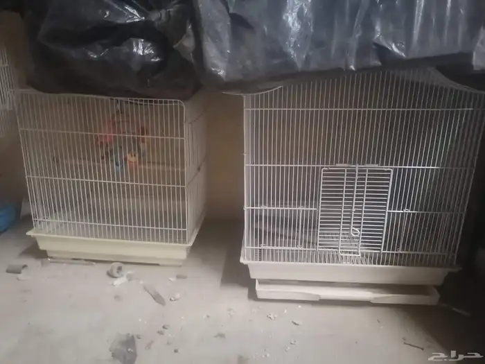 للبيع وعلى السوم اقفاص لجميع أنواع الطيور وبأحجام مختلفة 0