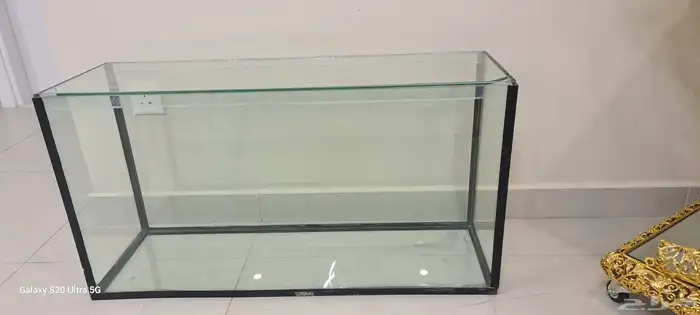 حوض سمك كبير 1