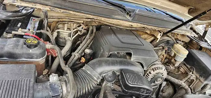 جمس يوكن قصير نظيف 11