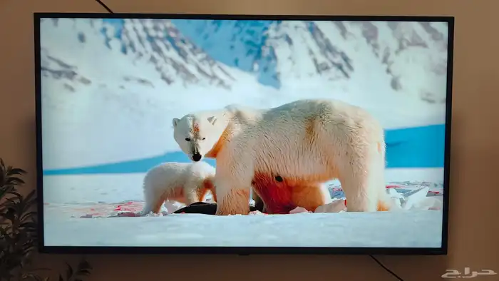 شاشة LG ريموت ماجيك ماوس 4K 55 صوت قوي جدا 1